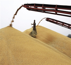 粮食码头除尘方案 粮食码头除尘方案