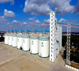 粮食码头除尘方案 粮食码头除尘方案