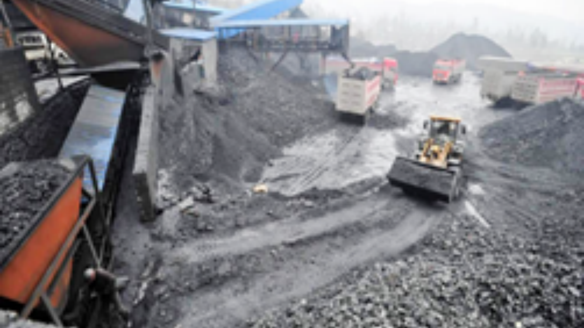 粮食行业中央英国(正版)365官方网站案例分享